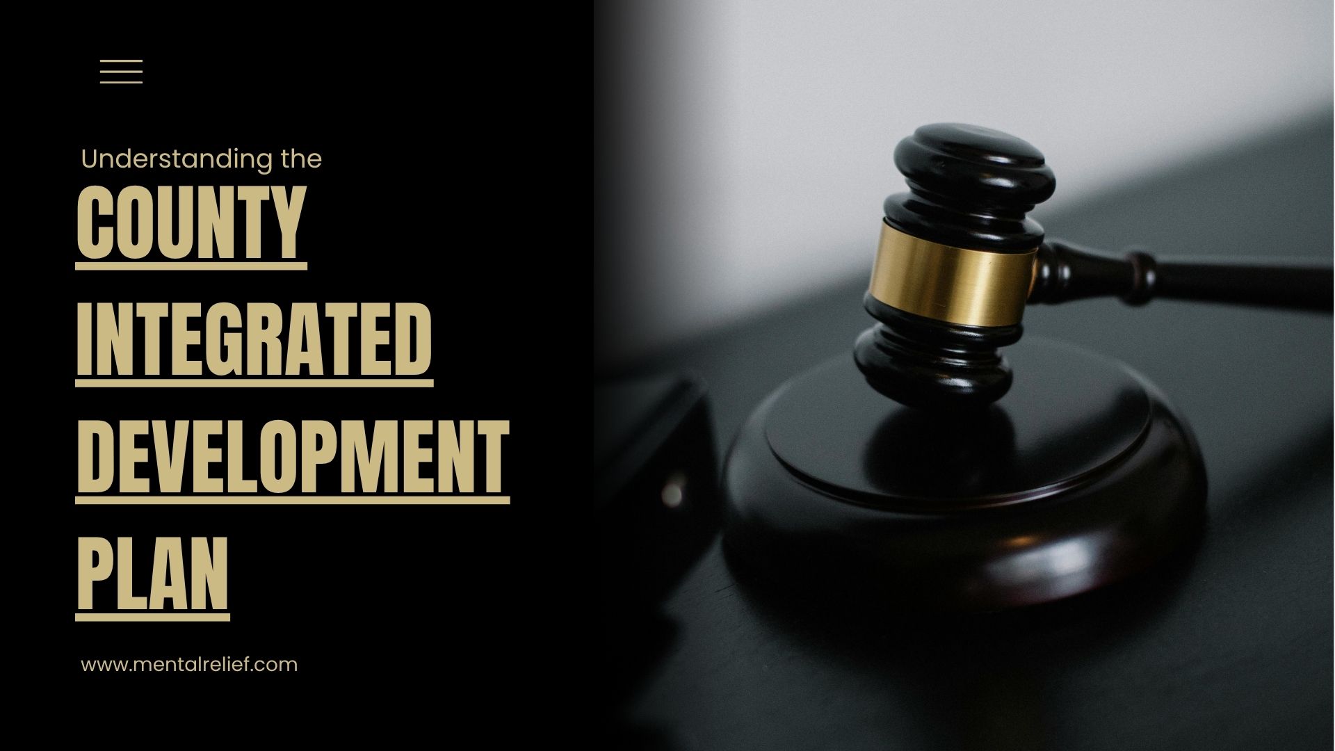 Understanding the County Integrated Development Plan